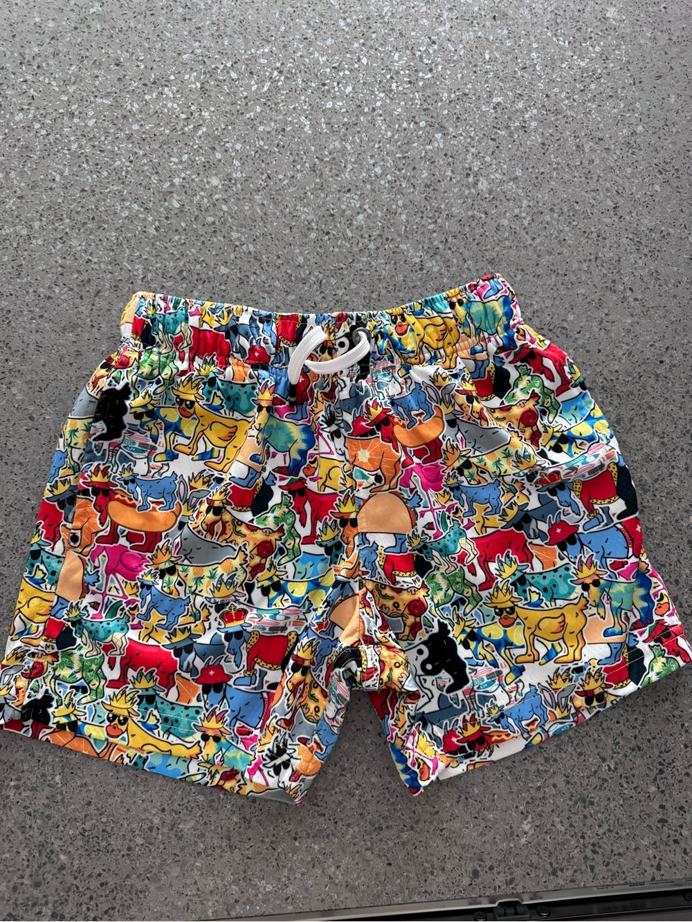 Kids Multicolor Dog Print Swim Shorts with Elastic Waist